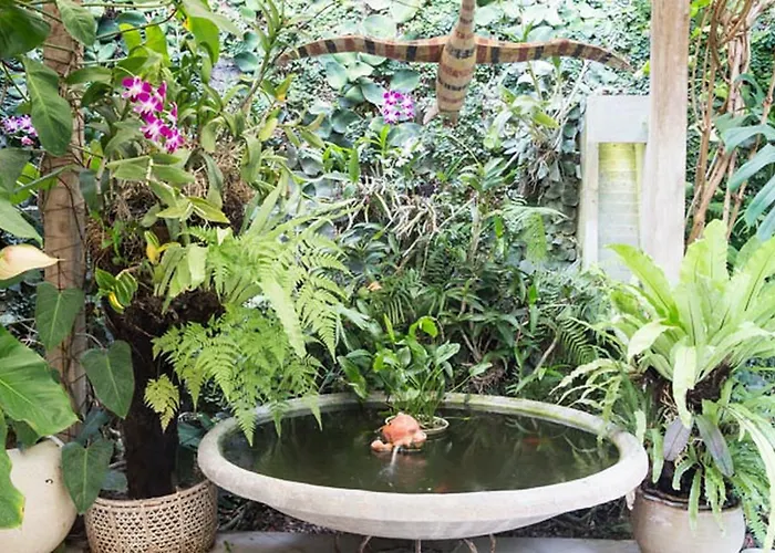 Wonderland - Seminyak (Bali)