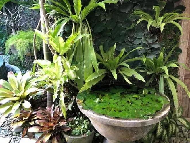 Wonderland - Villa Seminyak (Bali)
