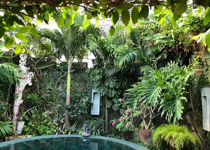 Villa Wonderland - *